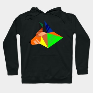 Rainbow Fox Hoodie